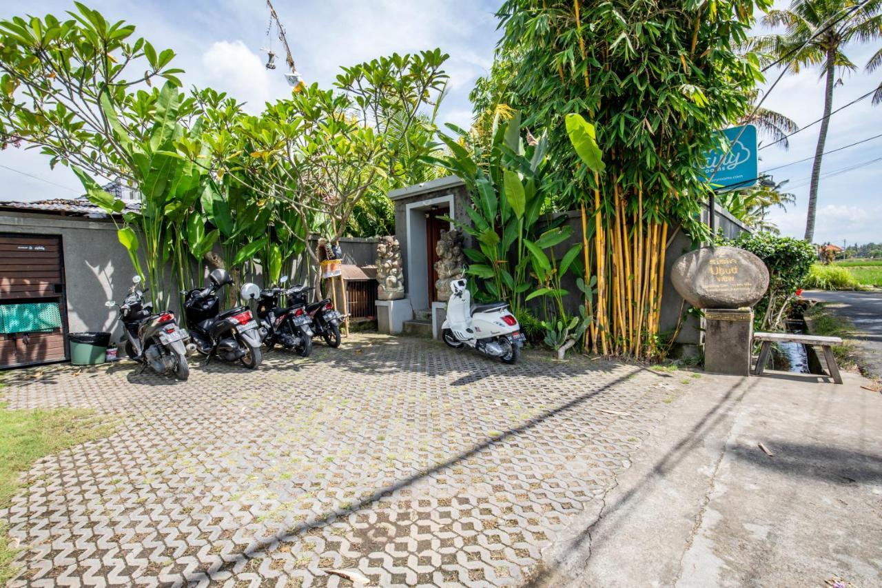 Sisin Ubud View Εξωτερικό φωτογραφία